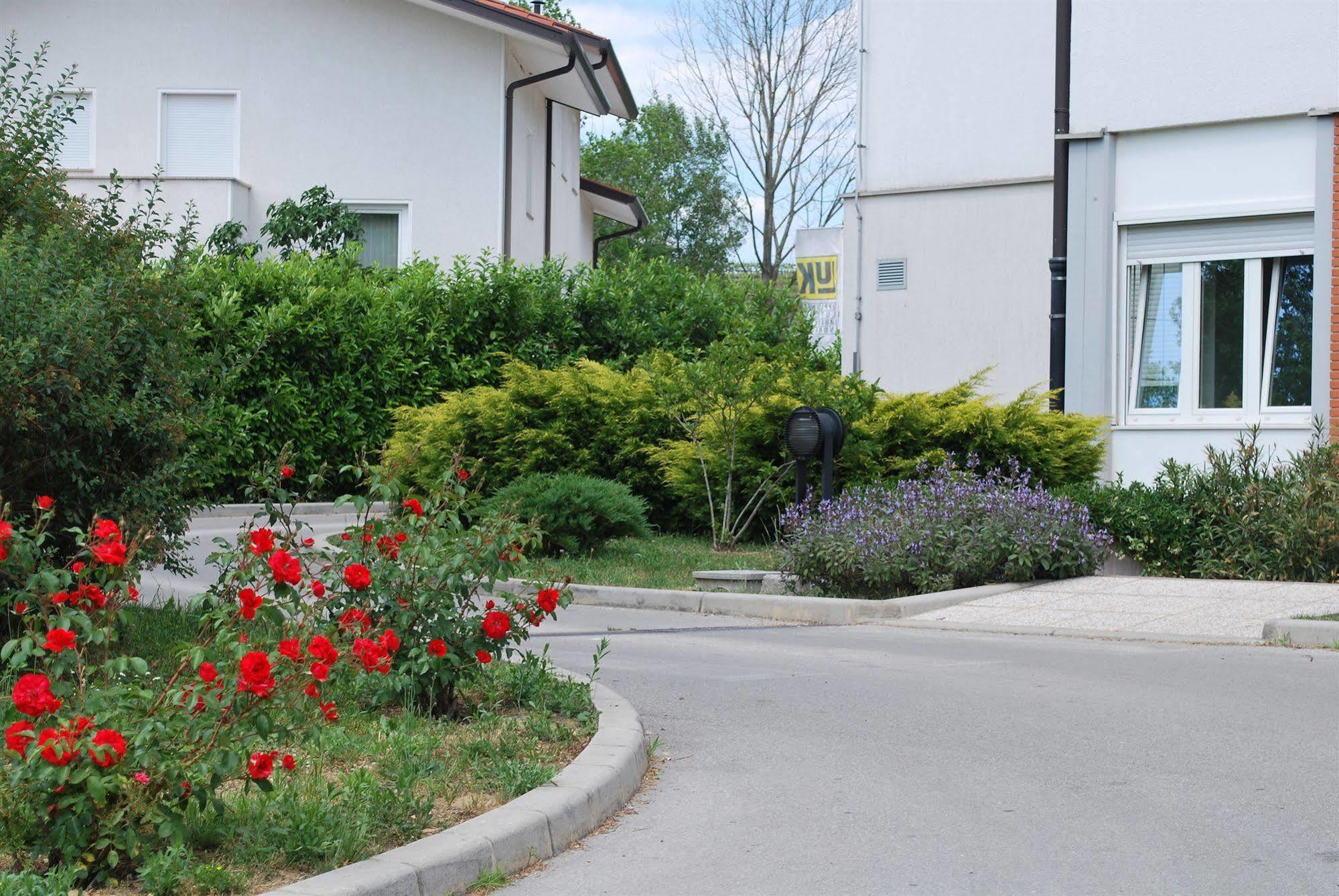 Bed And Breakfast Kogoj Нова Горица Екстериор снимка